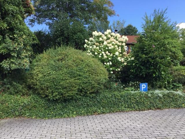 Bayerischer Wald - Balbersdorf Waffenbrunn المظهر الخارجي الصورة